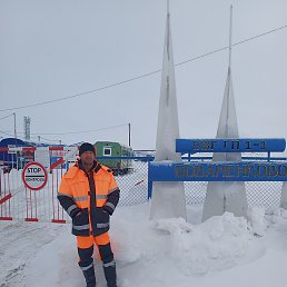 ���������, ������, 40 ���