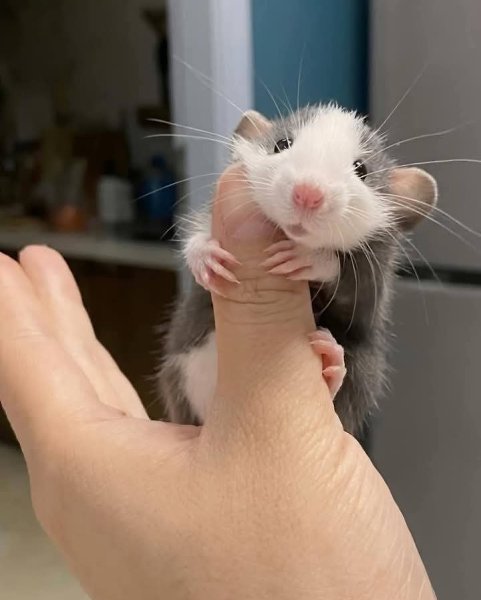 :) ����� ������ ������ ����� �������� ������ �������� ����� � ���������� �������, ������� ����� ... - 4