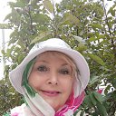  ,  -  28  2025    -    ,      .