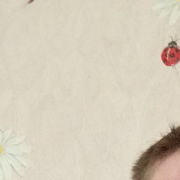 �������, ����, 41 ���