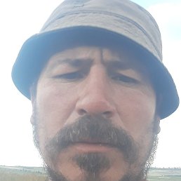 �������, �������, 43 ����