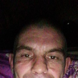 , 38, 