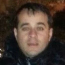 , , 40 