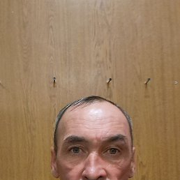 , 52 , 