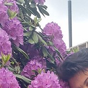 , 42 , 