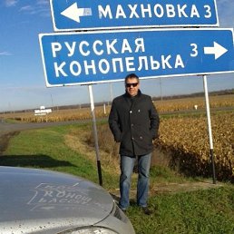 , 53, 