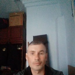 , 35, 