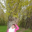 ���� ����, �����-���������, 52 ���� - ��������� 28 ���� 2026 � ������ ���� ����������