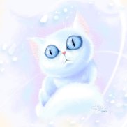 ������, 43 ����, ����������