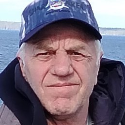 �����, ������, 65 ���