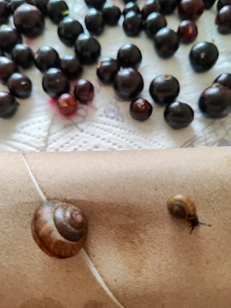 ������� ������� - 6 ���� 2026 � 16:28 - 3