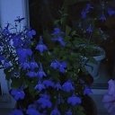 ���� ���� � �������� �� ���������� ..., ����� - ��������� 18 ������ 2025 � ������ ���� ����������