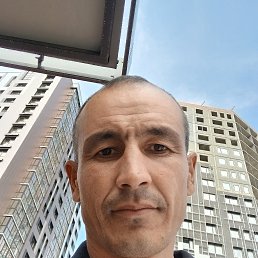 , 37, 