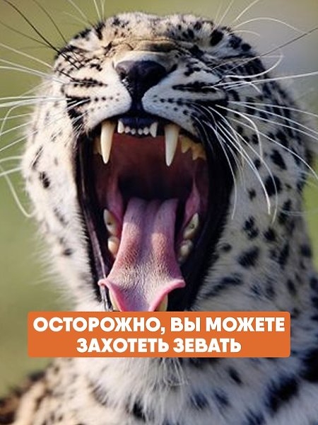 Фотограф создал уникальную серию снимков, запечатлев животных в самый неожиданный момент — во время ...