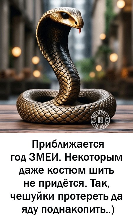 ** ** - 14  2024  19:35