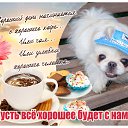 ���� ��������, ������ - ��������� 28 ���� 2025 � ������ ������ ��������
