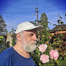 ��������, ������, 65 ���