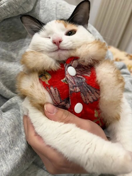 �������� ���������� ���� � ������� - 6