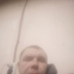 ���� ���������, ���������, 43 ���� - ��������� 26 ������ 2024