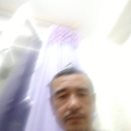 , 44 , 