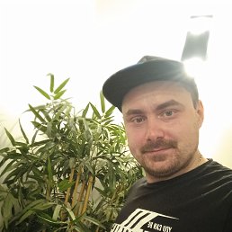 , 33 ,  