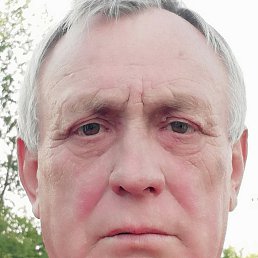 , 66, 