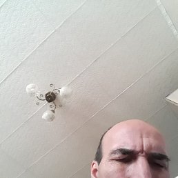, 65, -