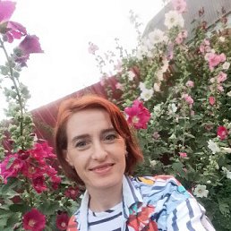 , 38, 