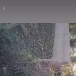 ���� ����, ���������, 29 ��� - ��������� 23 ������ 2024