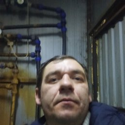 , 37 , 