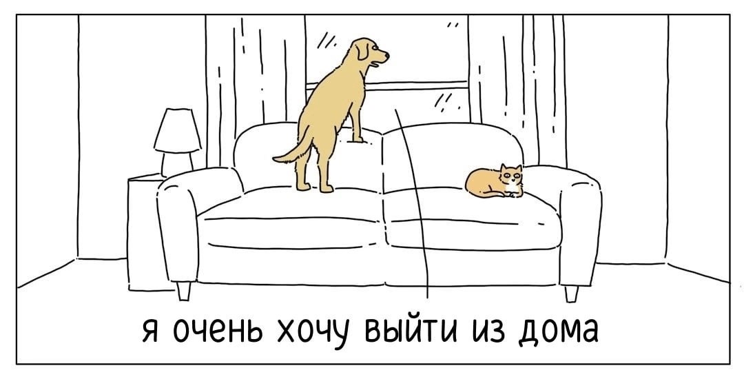 Вы за кошек или собак?