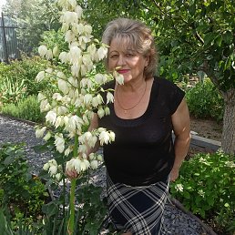 , 65, --