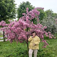, 34 , 