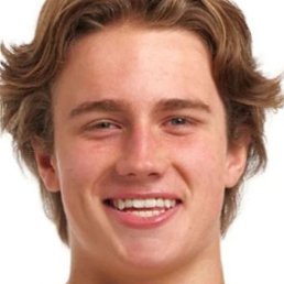 ������, ������, 33 ����