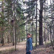 , 26 , 