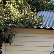 ��������, 45 ���, ��������