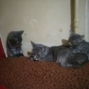 ���� ������, ����, 47 ��� - ��������� 6 ������ 2024 � ������ ���� ����������