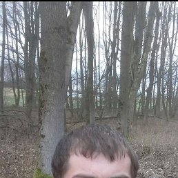, 30, 