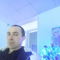 ����, ������, 38 ���