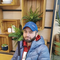 , 41, 