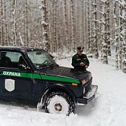 kamaev, 62 ����, ������