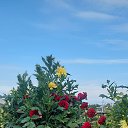 ���� ��������, ��������, 65 ��� - ��������� 22 ���� 2025 � ������ ���� ����������