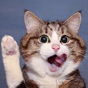 ���� ��������, ����������, 29 ��� - ��������� 4 ������� 2025 � ������ ���� ����������