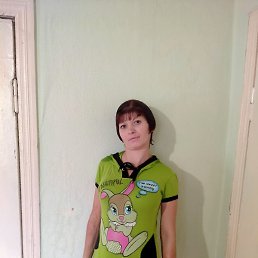 �����, ��������, 41 ���