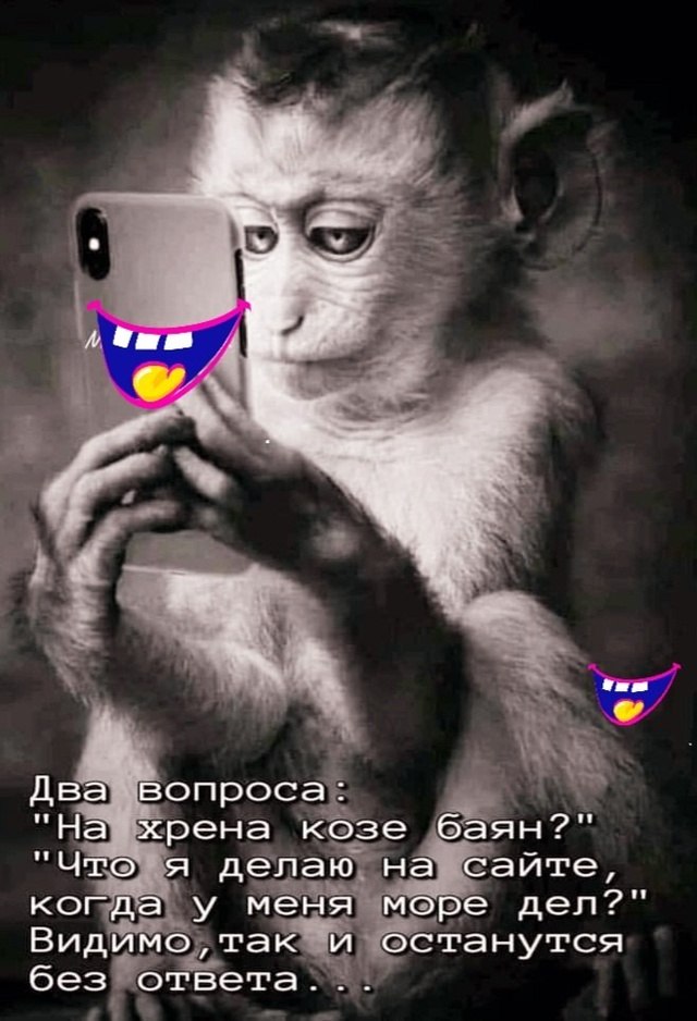  - 11  2025  20:25