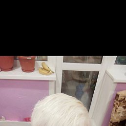 , 58, 
