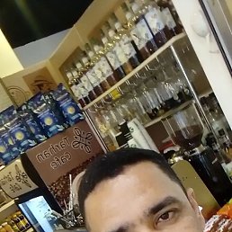 �����, ������, 41 ���