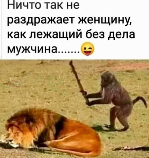   - 10  2025  11:58
