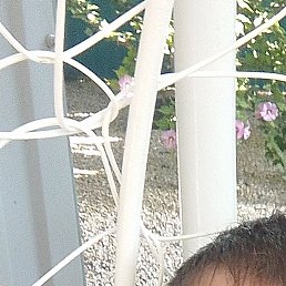 �����, �����, 44 ����