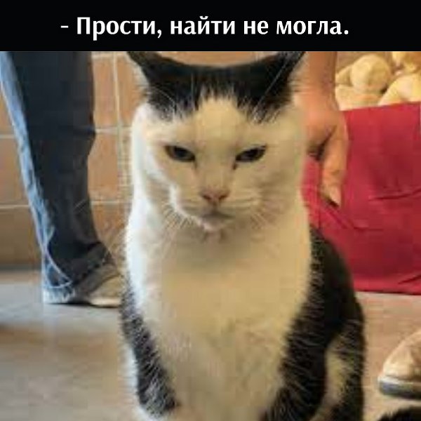 ��� ���� � ����� �� �� - 31 ������� 2025 � 12:30 - 2